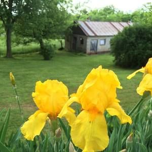 Meet your Posher, Carla